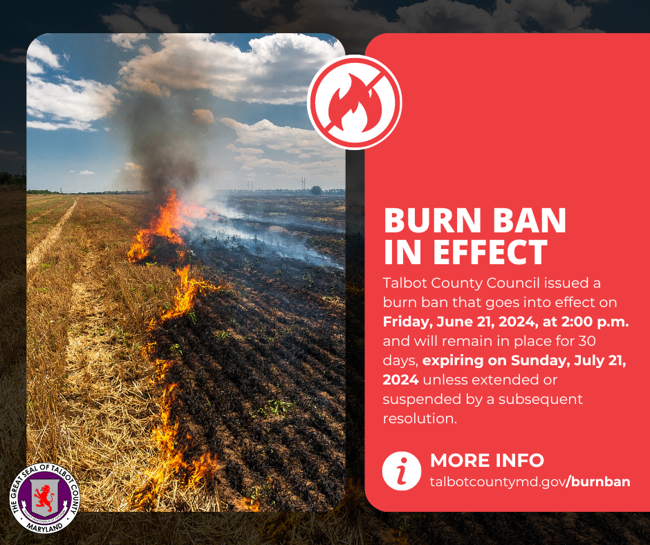 Ban Burn (2)